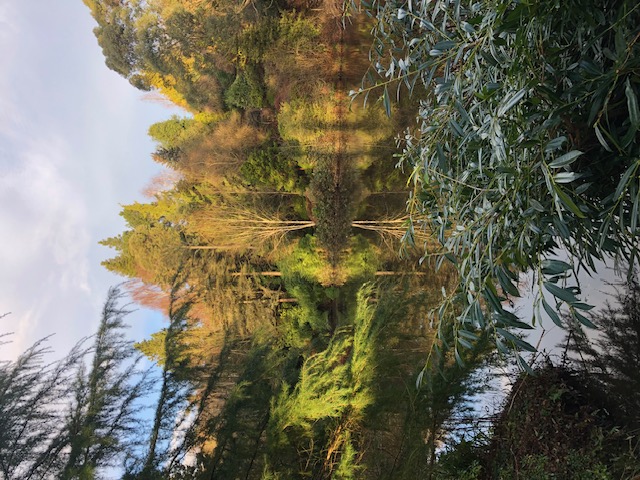 sunset over dingle nursery