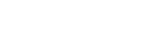 dingle logo