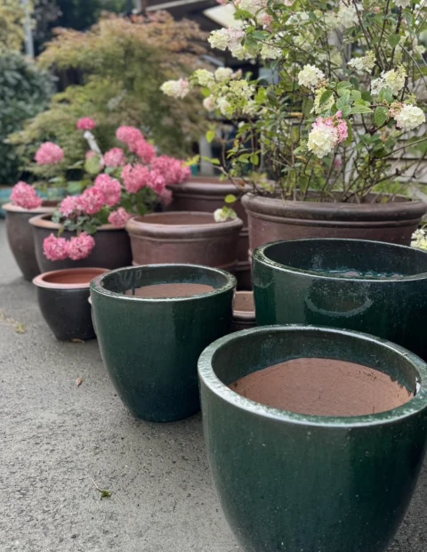 plant pots